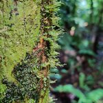 Photo taken by Mordechay T