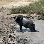 Photo taken by Michael L