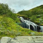 Photo taken by Prem P