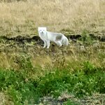 Photo taken by Johnna T