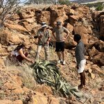 Photo taken by Joaquin M