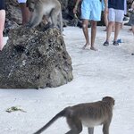 Photo taken by Bailey W