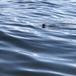 Photo taken by Anna L