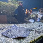 Photo taken by Melanie K