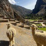 Photo taken by Charlotte D