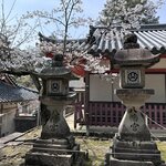 Photo taken by Norma M