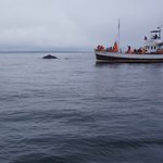 Photo taken by Andrew Z