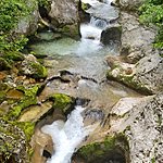 Photo taken by Kim R