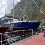 Photo taken by Sharon P