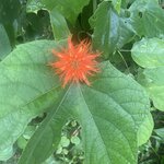 Photo taken by Kim L