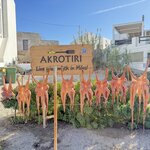 Photo taken by David B