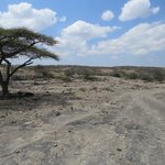 Photo taken by Kristin M