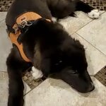 Photo taken by Debbi N