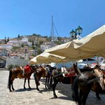 Photo taken by Colleen M