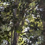 Photo taken by Petralina L