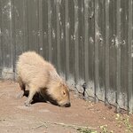 Photo taken by Greg L