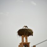 Photo taken by Indra S