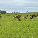 Photo taken by Russ K