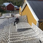 Photo taken by Michelle J