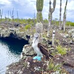 Photo taken by Ben S