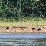 Photo taken by Jeff G