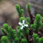 Photo taken by Miranda M