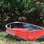 Photo taken by Dawne D