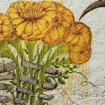 Photo taken by Priya R