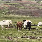 Photo taken by Cara W