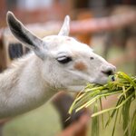 Photo taken by Savana H