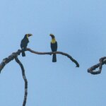 Photo taken by Holly B