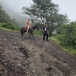 Photo taken by Camille S