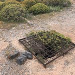 Photo taken by Victoria P