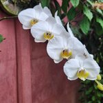 Photo taken by Tenley G