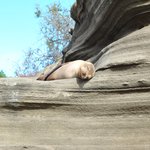 Photo taken by Natascia V