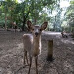 Photo taken by Jessica R