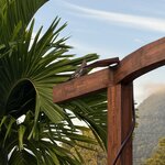 Photo taken by Carrie N