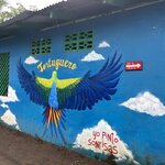 Photo taken by Trish G