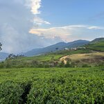 Photo taken by Bryce W