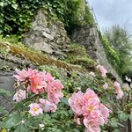 Photo taken by Luis D