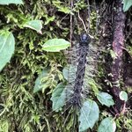 Photo taken by Sheila G