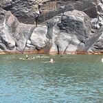 Photo taken by Kathleen L