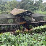 Monkey enclosure at La  Paz reserve | Photo taken by Diane B