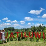 Photo taken by Amy M