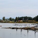 Photo taken by Mitzi F