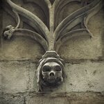 Photo taken by Colin M