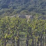 Photo taken by Douglas O