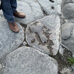 Photo taken by Anthony L