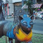 Cali | Photo taken by Peter G