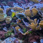 Photo taken by Melanie K